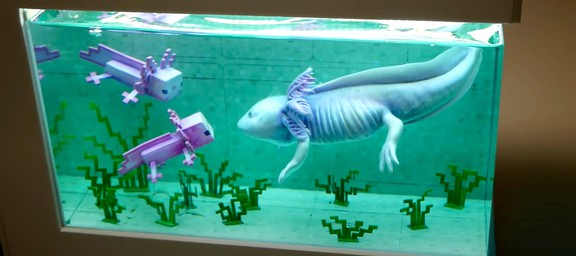 Как сделать аквариум в Майнкрафте