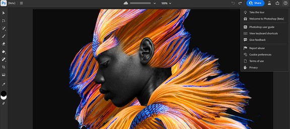 Adobe Photoshop CC для MAC и PC. Уровень 1. Растровая графика