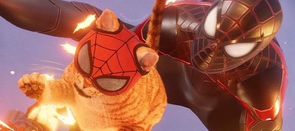 Spiderman with Catwoman Человек паук с женщиной кошкой - малина76.рф