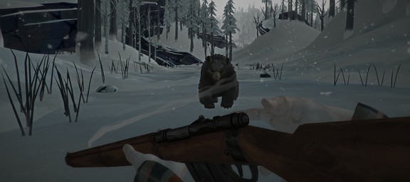 the long dark ps5 60fps