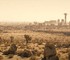 В сеть утек полноценный тизер второго сезона Fallout с видом на Нью-Вегас и Купером в рекламе
