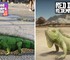 Сравнение локаций, персонажей и зверей между GTA 6 и RDR 2