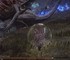Пока вы тренировались, один игрок Elden Ring Nightreign проходит экспедиции в одиночку на первом уровне