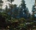 CD Projekt RED меняет подход: The Witcher 4 разрабатывается с приоритетом на консоли из-за провала Cyberpunk 2077