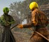 Геймеры в шоке от заявлений Ubisoft, что микротранзакции делают игры веселее