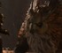 Игрок Baldur's Gate 3 нашел способ предотвратить гибель медвесыча в первом акте