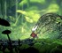 4,8 миллиона геймеров добавили Hollow Knight Silksong в желаемое Steam – почти в два раза больше чем Battlefield 6