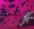 Геймер нашел в No Man's Sky планету с настолько высокими горами, что по ним можно дойти до космоса