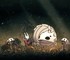 Если продолжение Hollow Knight Silksong когда-нибудь выйдет, то оно будет самостоятельной игрой и не станет конкурировать с оригинальными частями