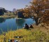 Руководство MMO Ashes of Creation массово уволилось в знак протеста – директор обвиняет совет в неэтичных решениях