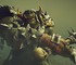 Разработчики Dawn of War 4 не переживают из-за конкуренции с Total War: Warhammer 40k