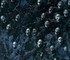 Blizzard спасла разработчиков Diablo в последний момент, когда налоговая уже грозилась закрыть студию
