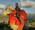 Pearl Abyss завершила трехмесячную карту контента Crimson Desert за три недели