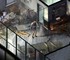 Сценарист Dead Space назвал Disco Elysium лучшей литературой в играх