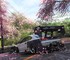 В Forza Horizon 6 нельзя уничтожить деревья сакуры – все остальные можно сносить ради очков