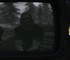 Моддер обогнал Тодда Говарда и первым запустил Skyrim внутри Fallout 4