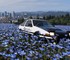 Токийский патруль в Forza Horizon 6: игрок гоняется за нарушителями скоростного режима