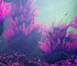Subnautica 2 обогнала Resident Evil Requiem, Crimson Desert и Slay the Spire 2 и стала самой быстропродаваемой игрой года в Steam