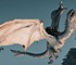 В Crimson Desert игроки катапультируют лошадей со скал ради красивых полетов на виверне