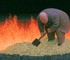 Босс облачной компании отменил повышение зарплат 5000 сотрудникам и направил деньги на ИИ