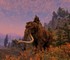 Игроки Skyrim обнаружили, что головы мамонтов на стенах – это целые туши, спрятанные за текстурой