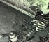 Загадочный скелет с вентилятором в Fallout 3 породил самые дикие теории