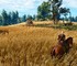 Скриншоты The Witcher 3 Remastered выглядит как тот самый эпичный трейлер 2014 года