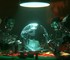 Спустя несколько недель OpenAI признала инцидент с ИИ-агентами, захватившими немецкую вики-страницу