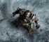 Фанаты Skyrim надеются на то, что в The Elder Scrolls 6 можно будет найти могилу последнего Довакина