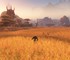 Игрок World of Warcraft Forever напомнил про 3 команды, которые делают траву гуще – и другие полезные команды