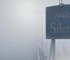 Вирус в Resident Evil или собственное подсознание в Silent Hill – в каком хорроре проще выжить