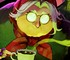 Deadlock еще не готова к публичному релизу, считает Valve