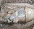 Египтянин нашёл у своего дома обломки 8,5-метровой статуи Рамсеса II