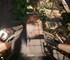 Все изменения патча 2.5 для Cyberpunk 2077 – стрельба с двух рук, 12 новых карт Таро и DLSS 4.5