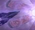 Сериал по Mass Effect остаётся в разработке несмотря на закрытие BioWare