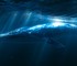 Новая модель DeepSeek догоняет Claude и GPT за копейки, но слишком часто выдумывает факты