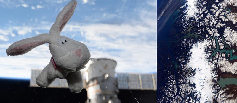 Новый астронавт NASA умеет обращаться с камерой