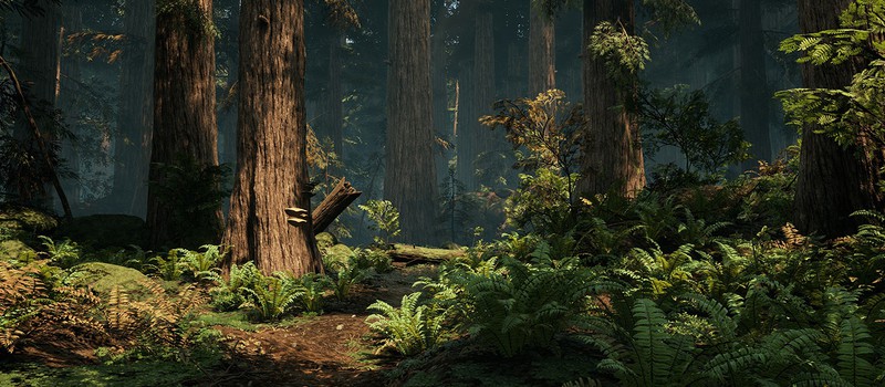 Эксперименты художника по растительности DICE в Unreal Engine 4