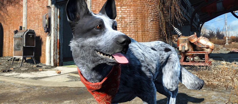 Моддер добавил своего реального пса в Fallout 4
