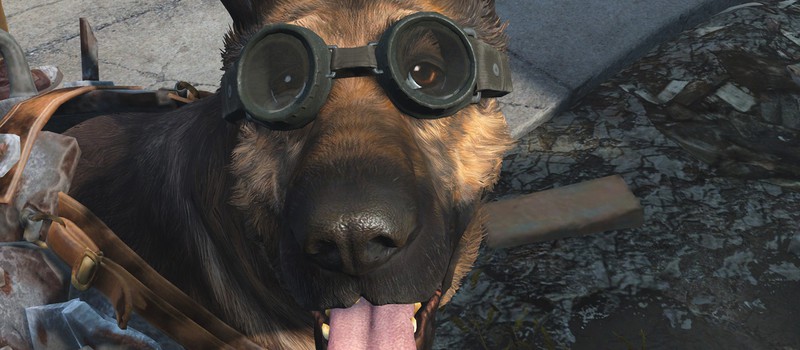 Курьезы Fallout 4: Пес, ну куда ж ты прешь!?... и другие глупости Псины