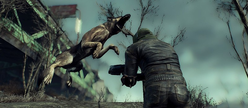 PC-геймеры проводят меньше времени в других играх из-за Fallout 4