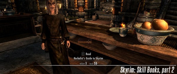 Гайд The Elder Scrolls V: Skyrim – книги скиллов, часть 2