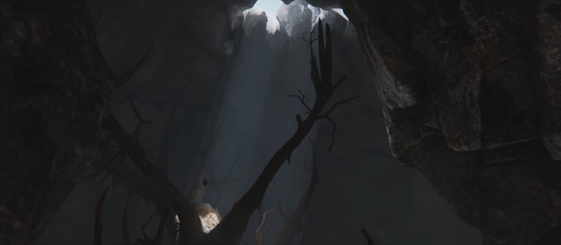 Пещеры, кровь и викинги в новой RPG от дизайнера Battlefield: BC 2
