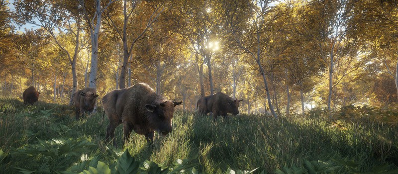 Свежий геймплей симулятора охотника theHunter: Call of the Wild