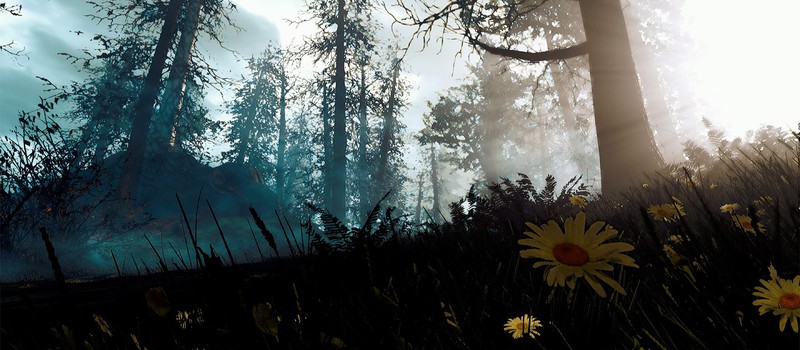 Приключение натуралиста в Fallout 4 — часть первая