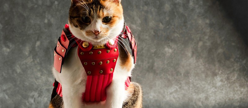 В Японии можно купить самурайскую броню для собак и кошек