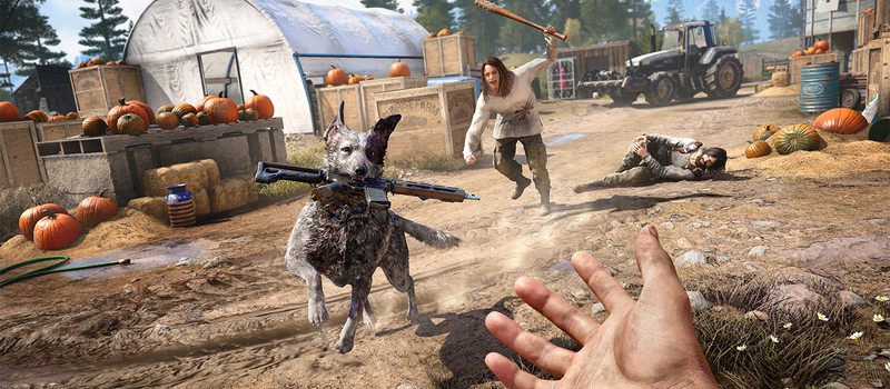 E3 2017: Новые скриншоты Far Cry 5 — собака, приносящая пушки