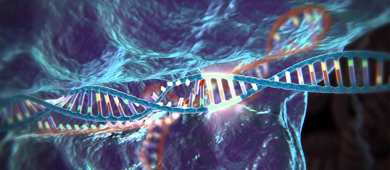 Ученым впервые удалось отредактировать гены в теле взрослого человека