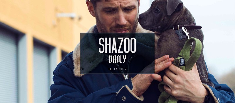Shazoo Daily: Первый орден любит собак?