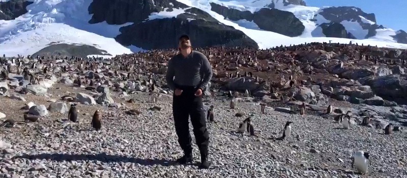 Дэвид Харбор исполнил свой танец из Stranger Things перед антарктическими пингвинами